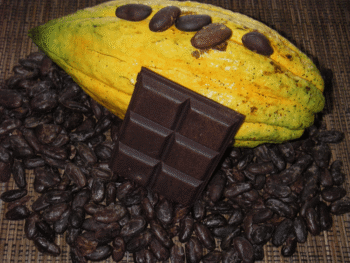 Découverte et dégustation